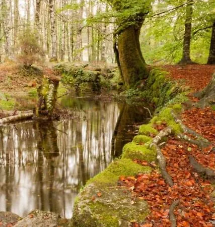 Apartament Confort4you *