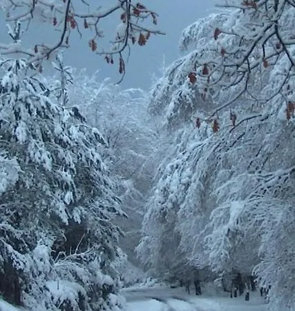 Apartament Confort4you Geres