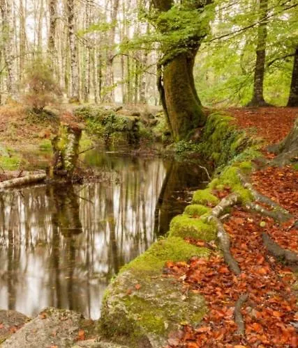 Appartement Confort4you *