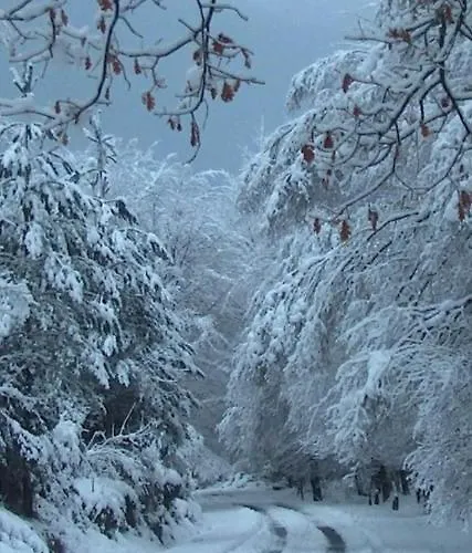 Διαμέρισμα Confort4you Geres